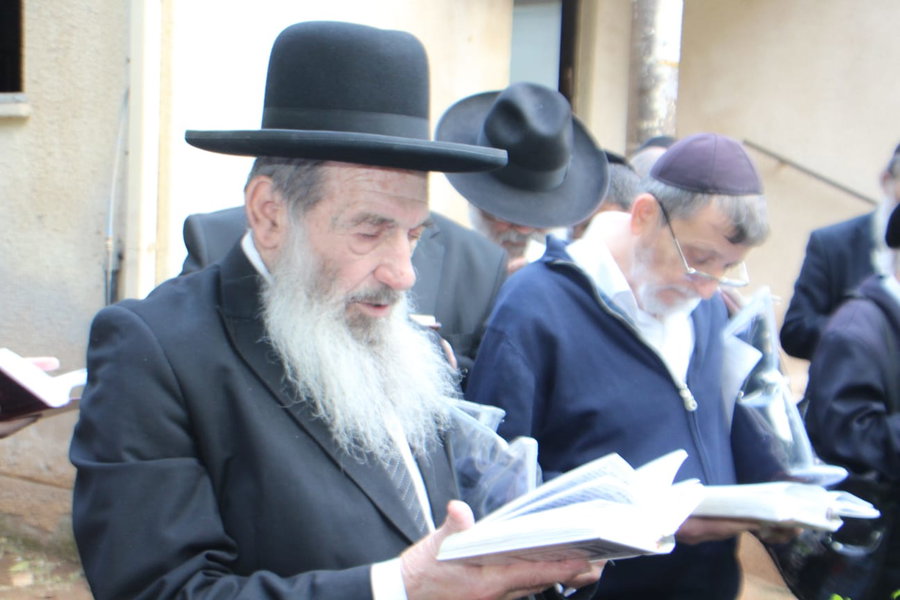 חכם נסים בן שמעון תועד מברך ברכת האילנות ברוב עם
