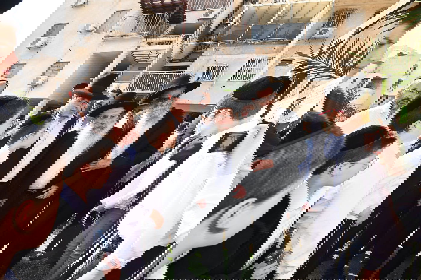 הגר"ש שטינמן בברכת האילנות