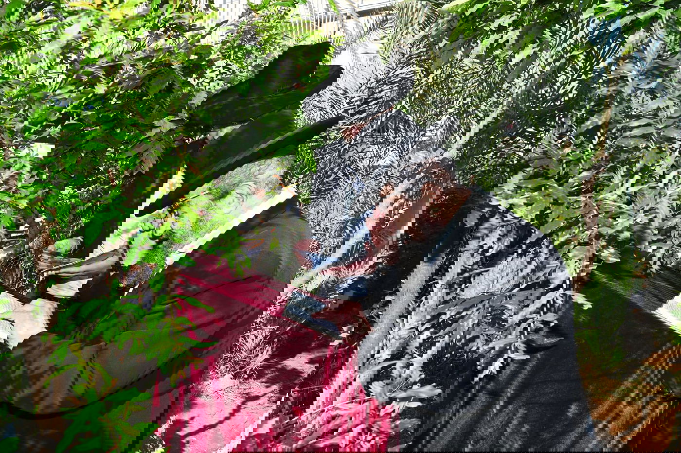 רבי מסעוד בן שמעון