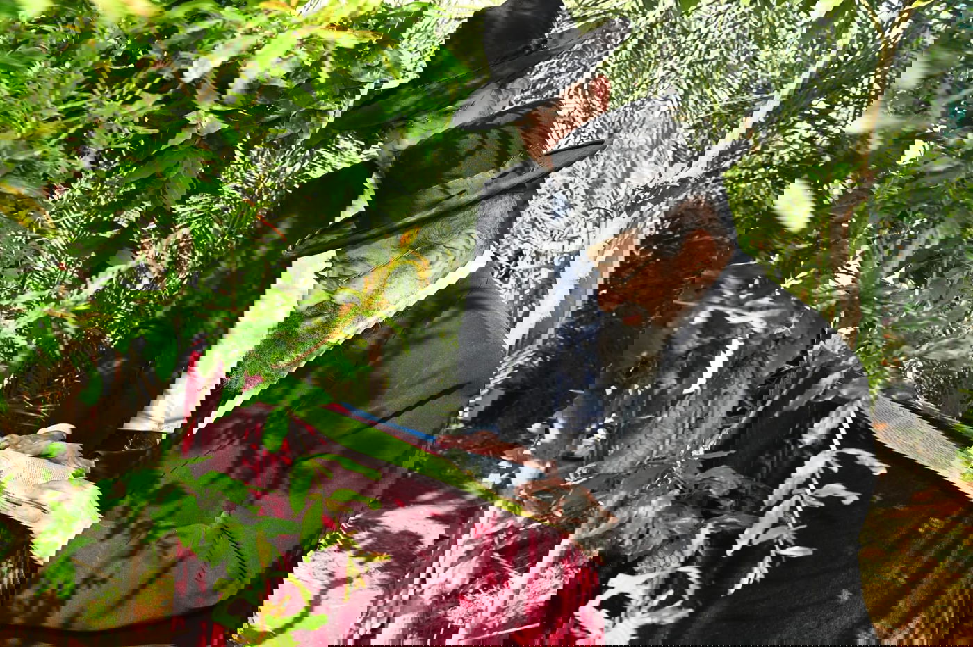 רבי מסעוד בן שמעון