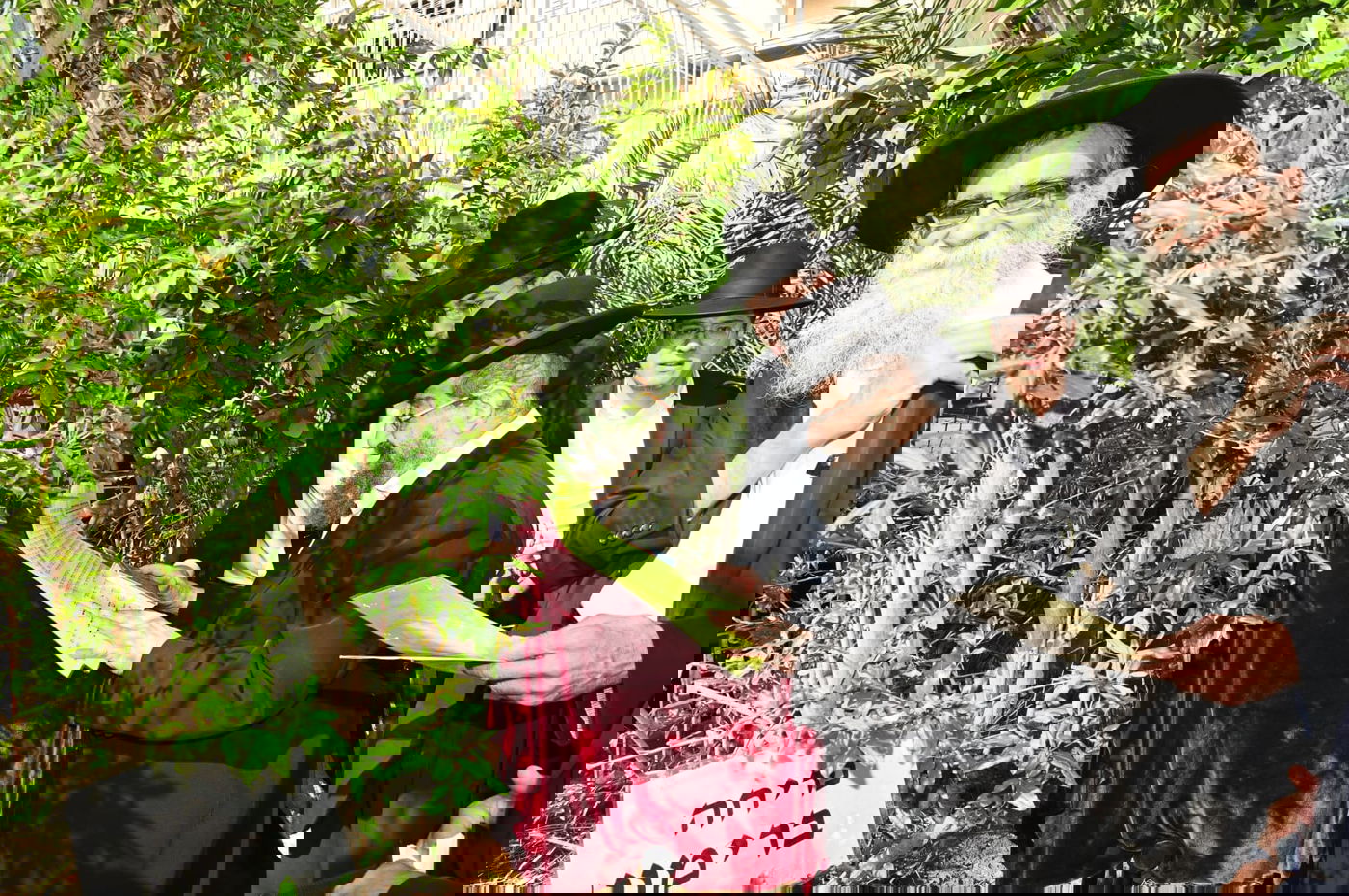 רבי מסעוד בן שמעון