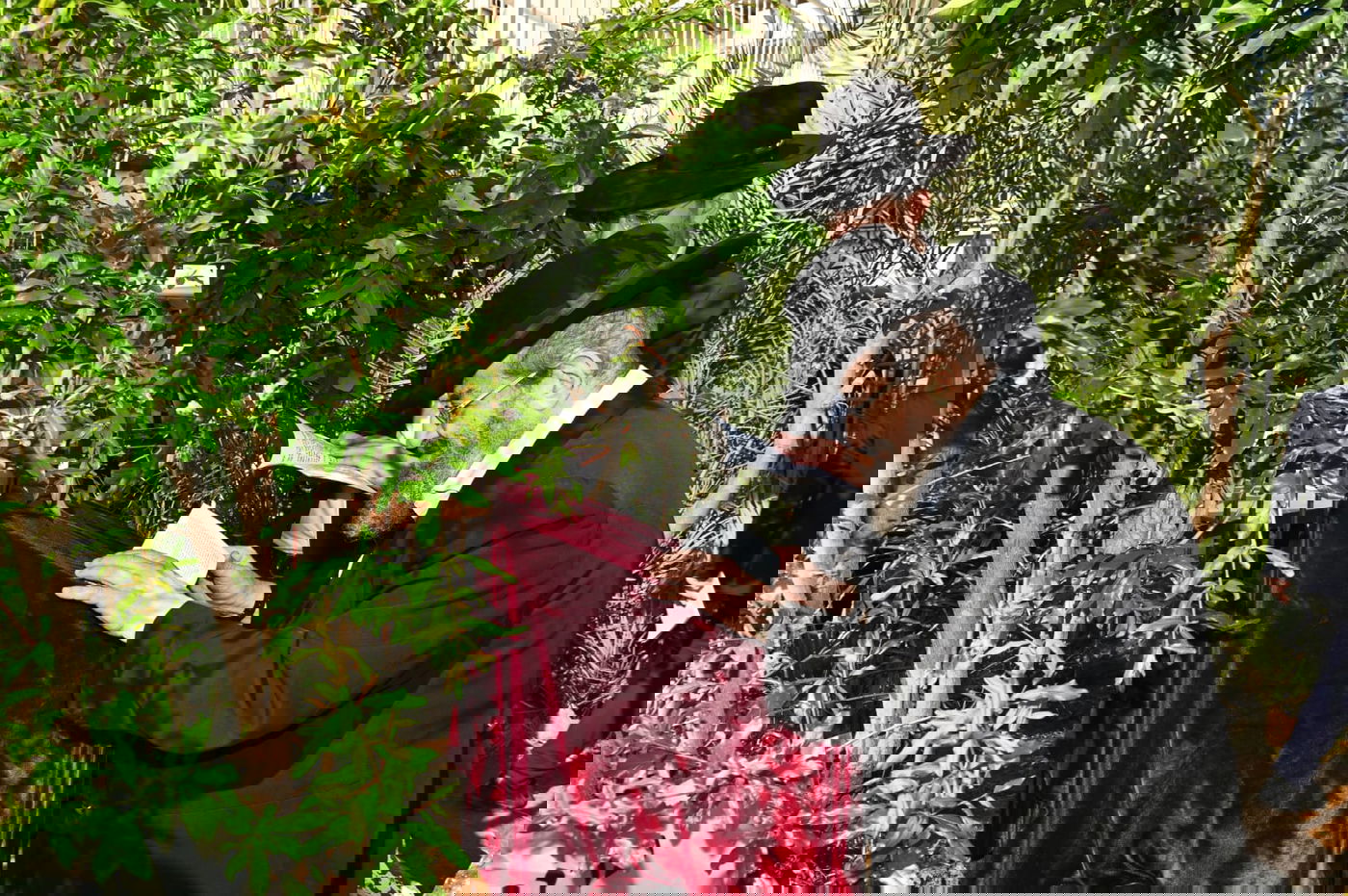 רבי מסעוד בן שמעון