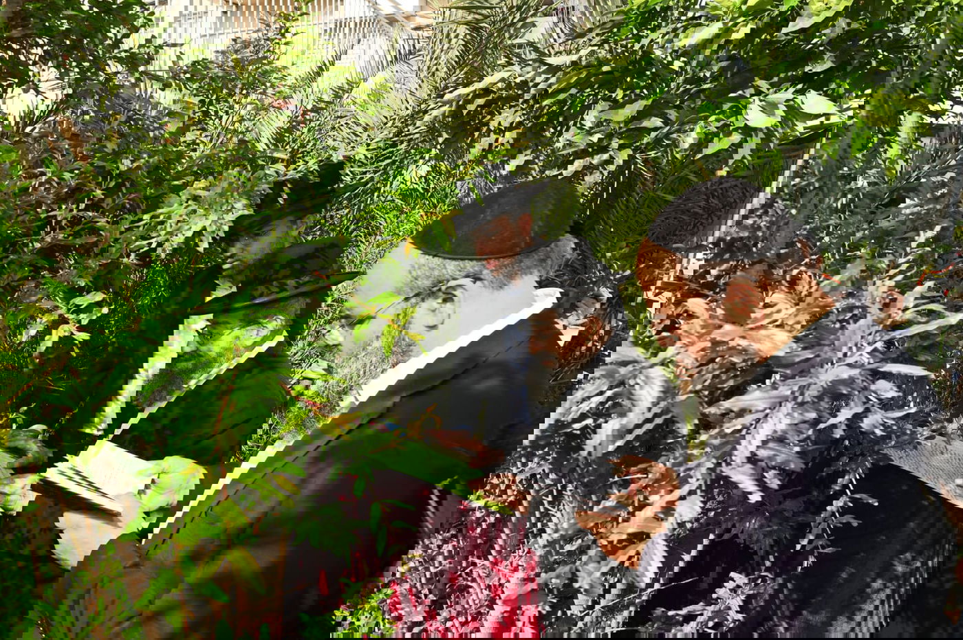 רבי מסעוד בן שמעון