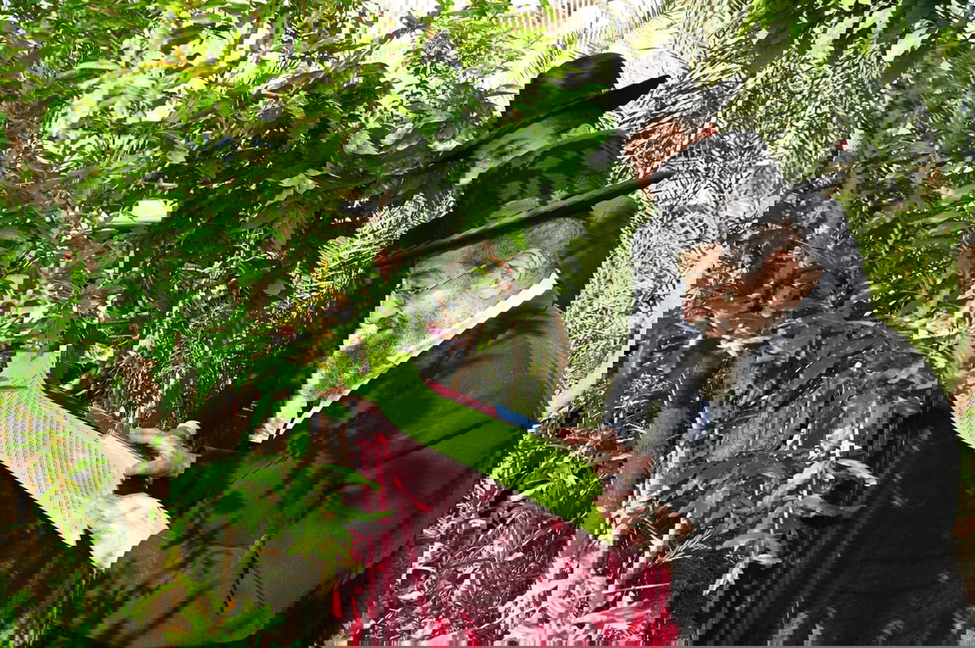 רבי מסעוד בן שמעון