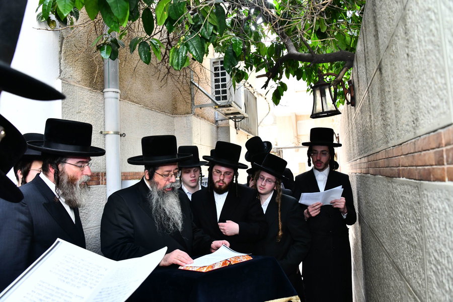 האדמו"ר משבט הלוי בברכת האילנות