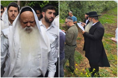 האחים מזכי הרבים בברכת האילנות בלב היער | תיעוד