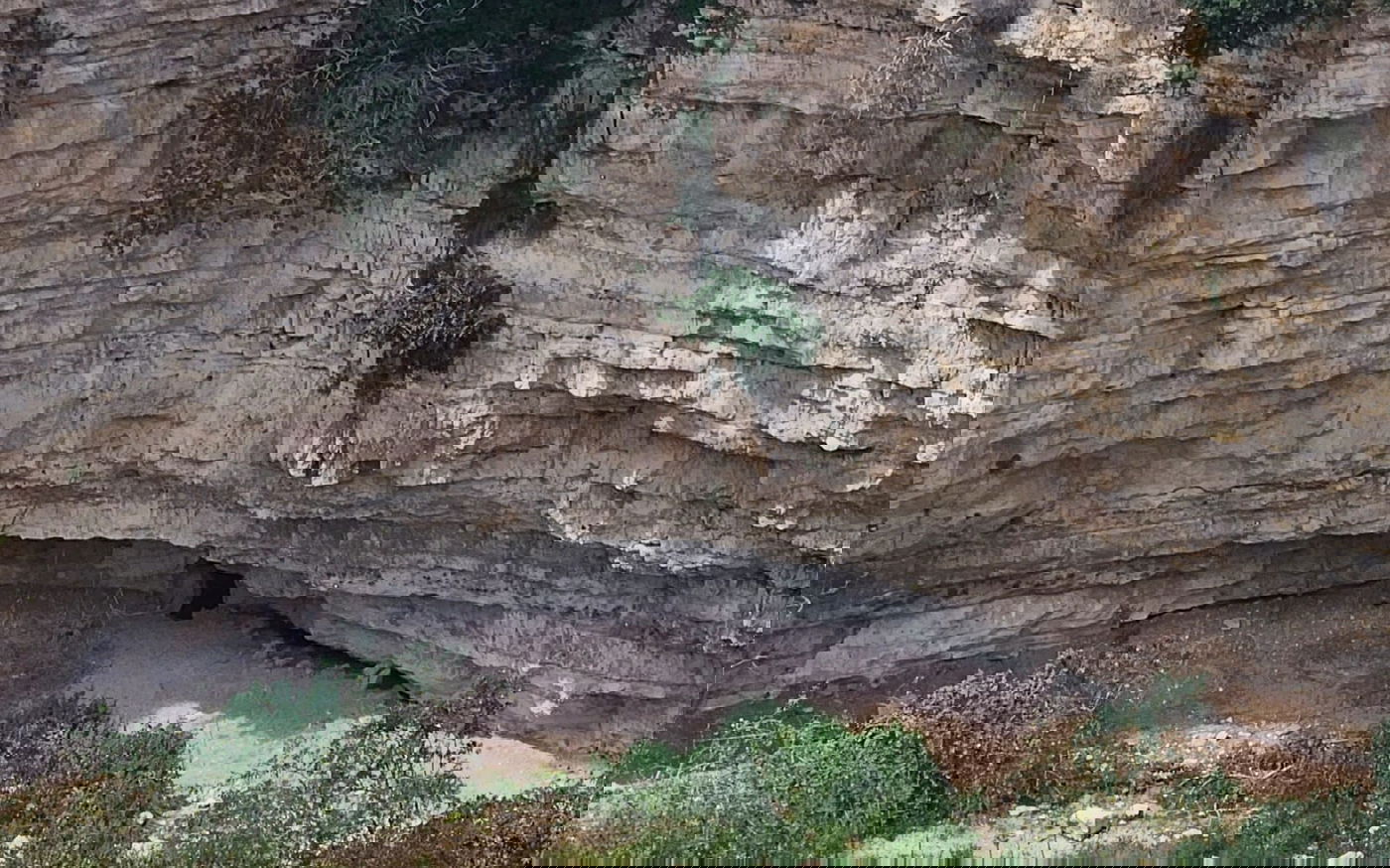 קדחת המערות