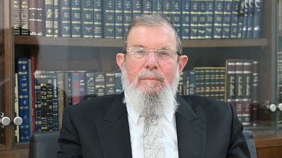 פרשת תזריע: הוורט של הגאון רבי קלמן בר