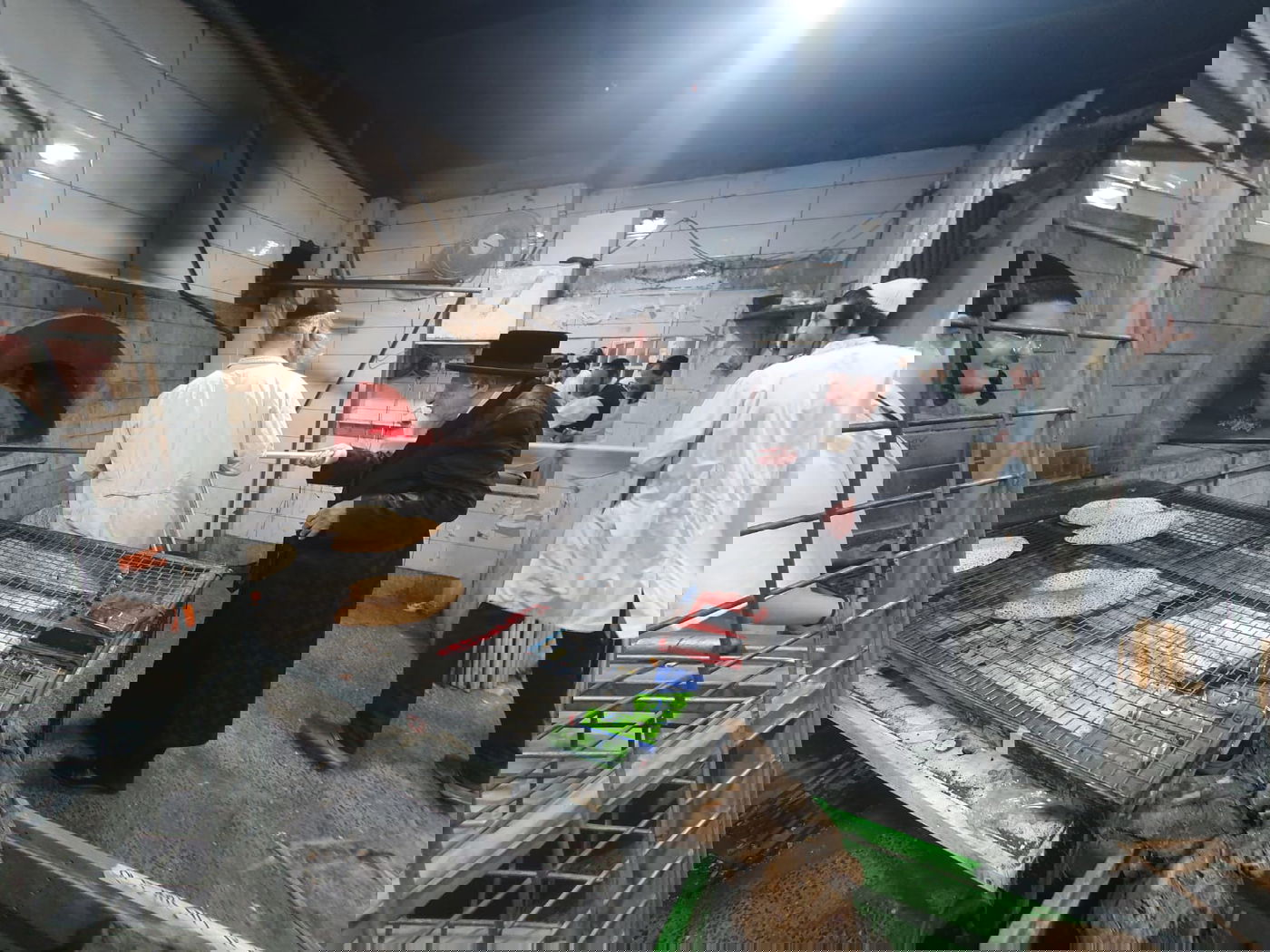 האדמו"ר מקופשניץ באפיית מצות 