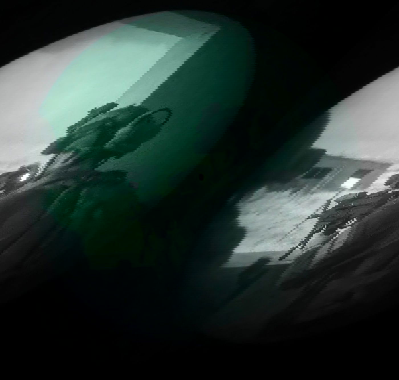 תיעוד מהפעילות