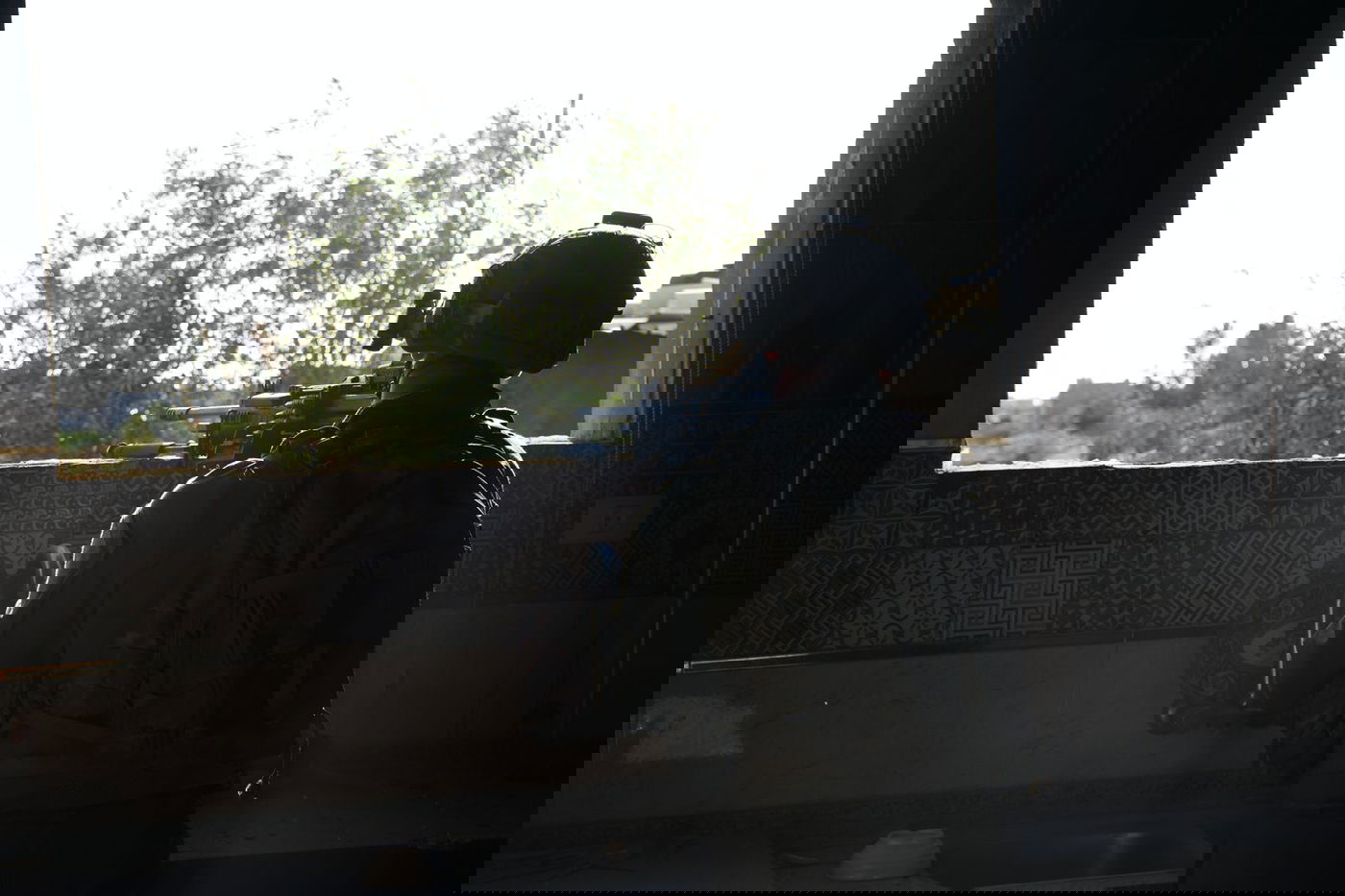 תיעוד מהפעילות