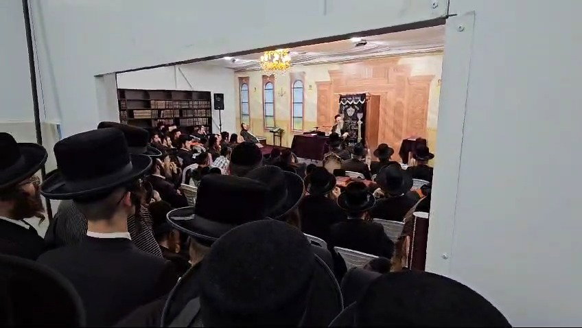 רבי מיילך בספינקא | צפו