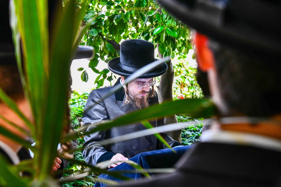 האדמו"ר מסאדיגורה בברכת האילנות