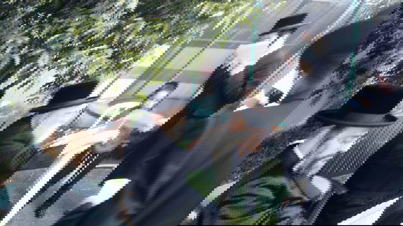 הגרי"מ ארלנגר בברכת האילנות