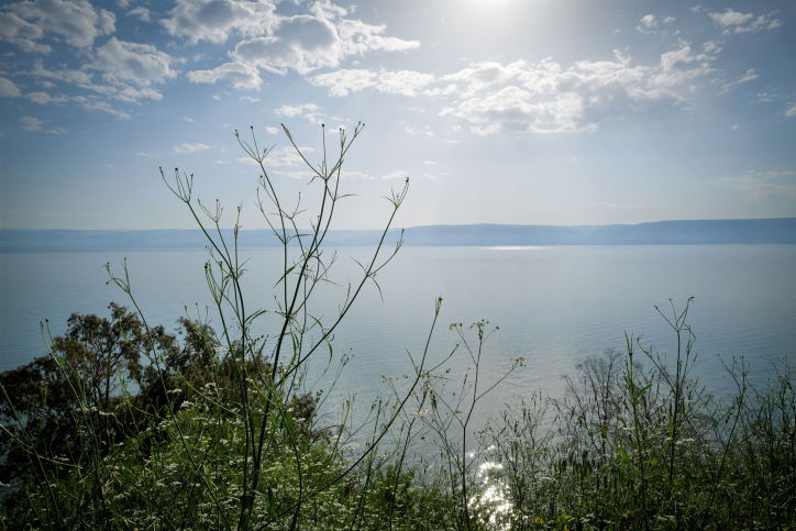 ההנחיות: מה עושים במקרה של ירי טיל או כטב"ם לכינרת?