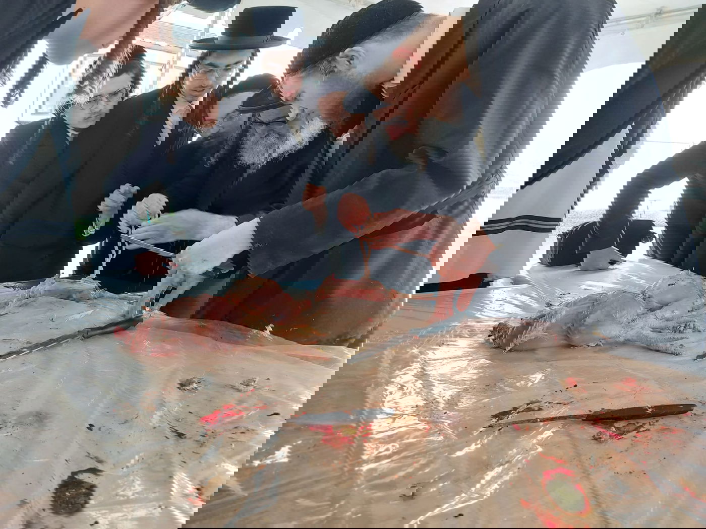 האדמו"ר מסקווירא מאנסי במשחטה בחצר בית מדרשו