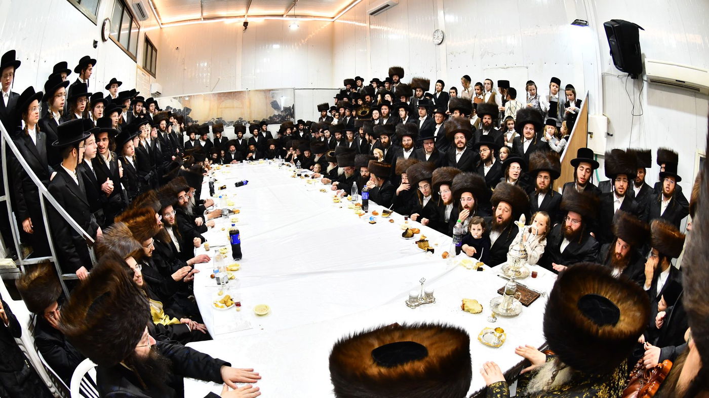 יום הצלה בזוטשקא