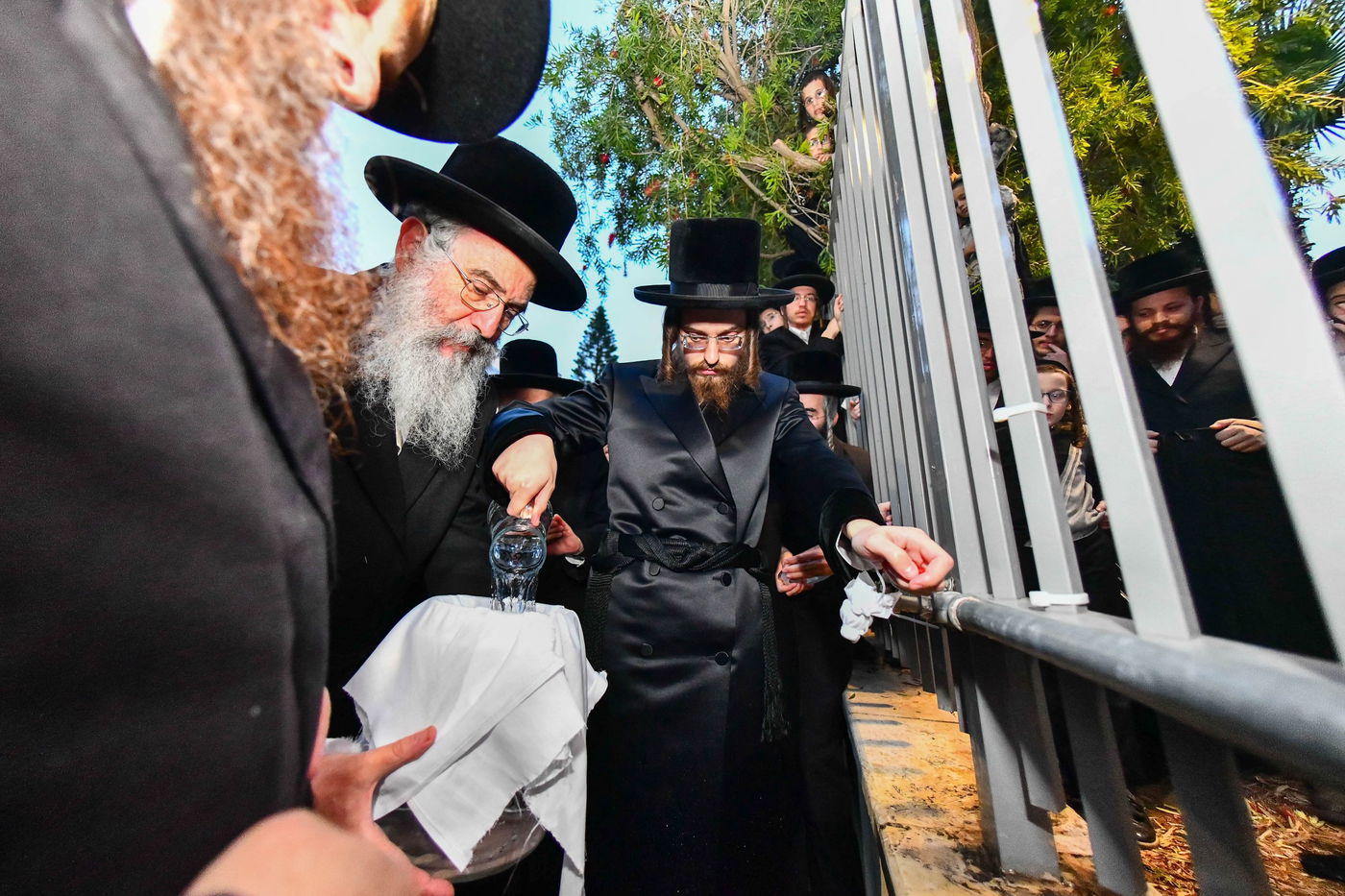 האדמו"ר מסאדיגורה בשאיבת מים שלנו 