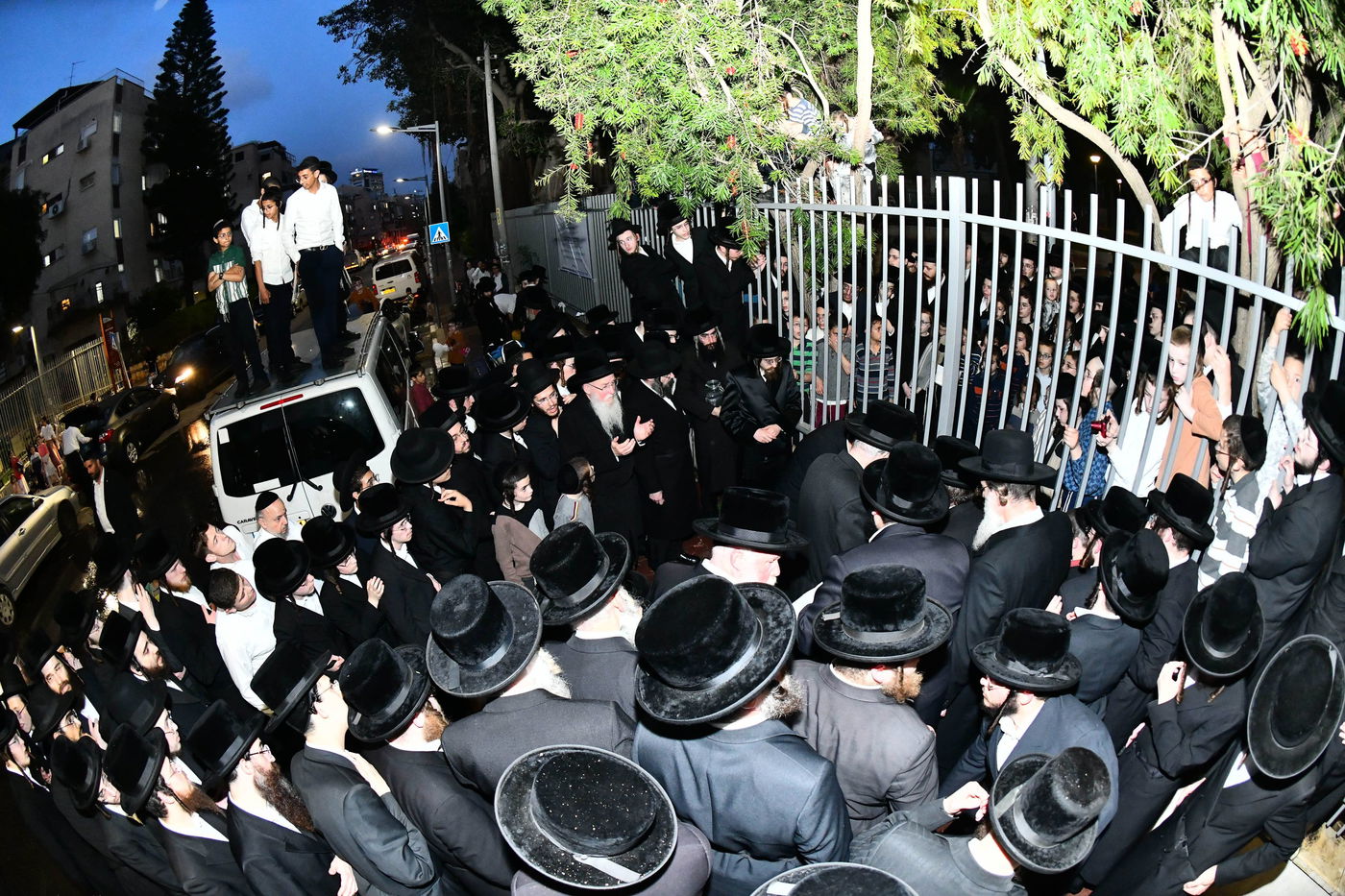 האדמו"ר מסאדיגורה בשאיבת מים שלנו 