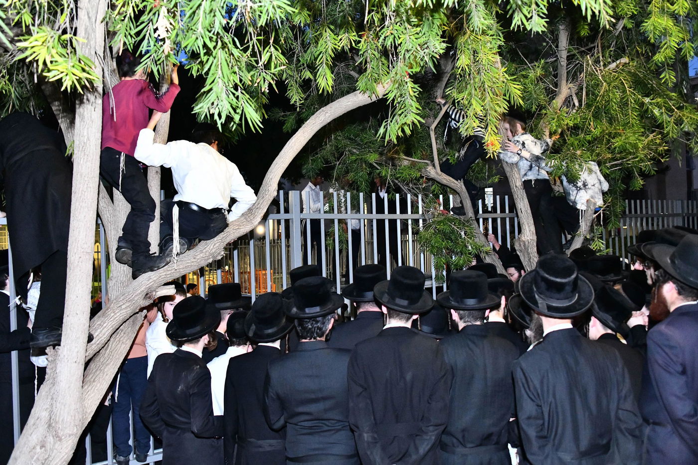 האדמו"ר מסאדיגורה בשאיבת מים שלנו 
