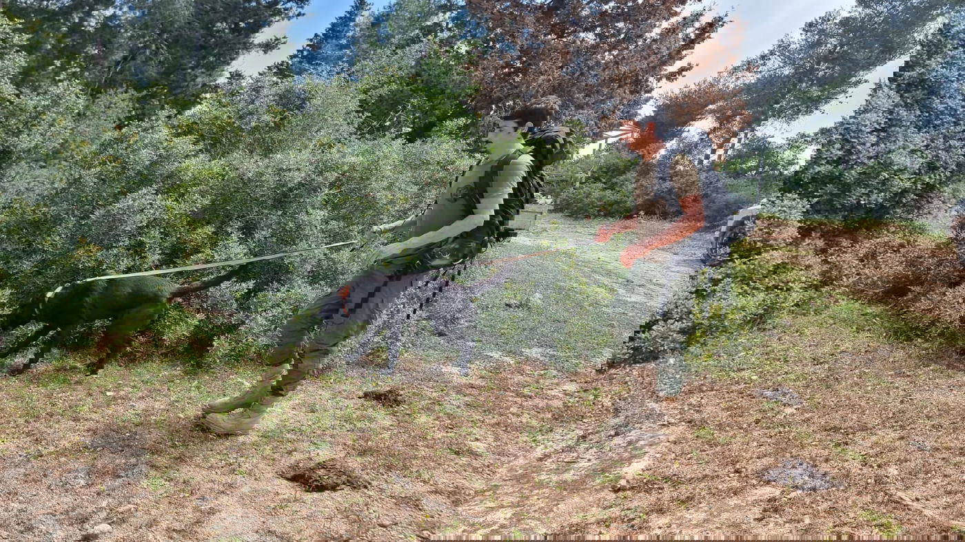 החיפושים אחר איתמר