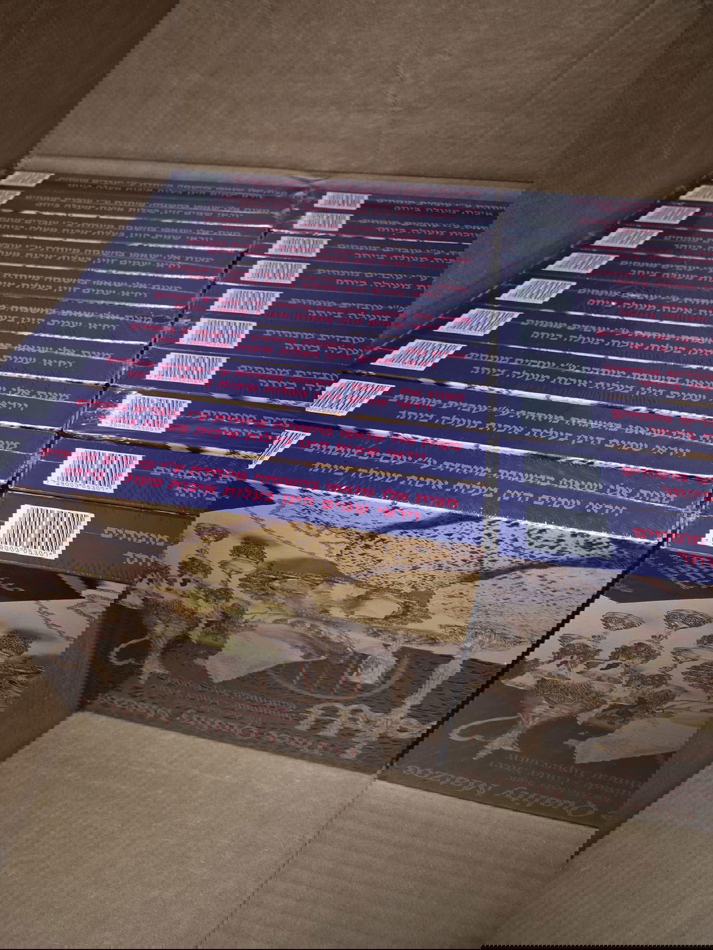 הערכות המיוחדות שחולקו לכל משפחה