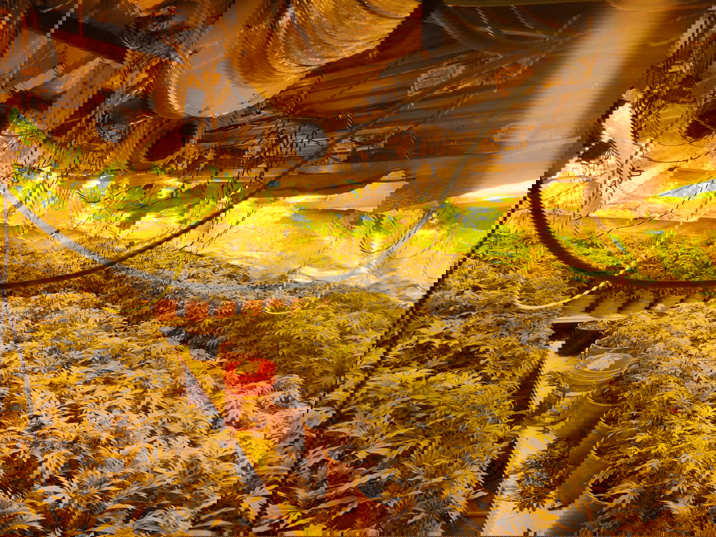 התפיסה המשטרתית