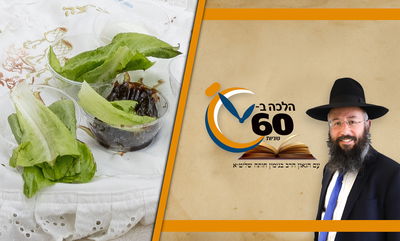 מותר לקחת מרור וכרפס בליל הסדר מעלים של גידולי מים? • צפו 