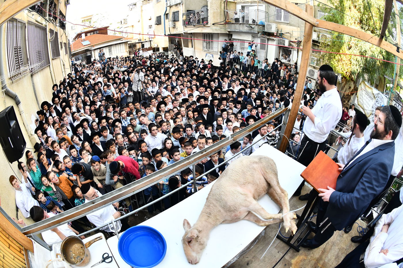 הקרבת קרבן פסח בבני ברק 
