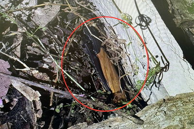 כלי התקיפה שאותר ונתפס על ידי השוטרים במסלול בריחתם של החשודים