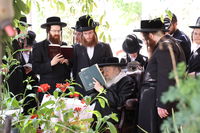 האדמו"ר מפוריסוב בברכת האילנות 