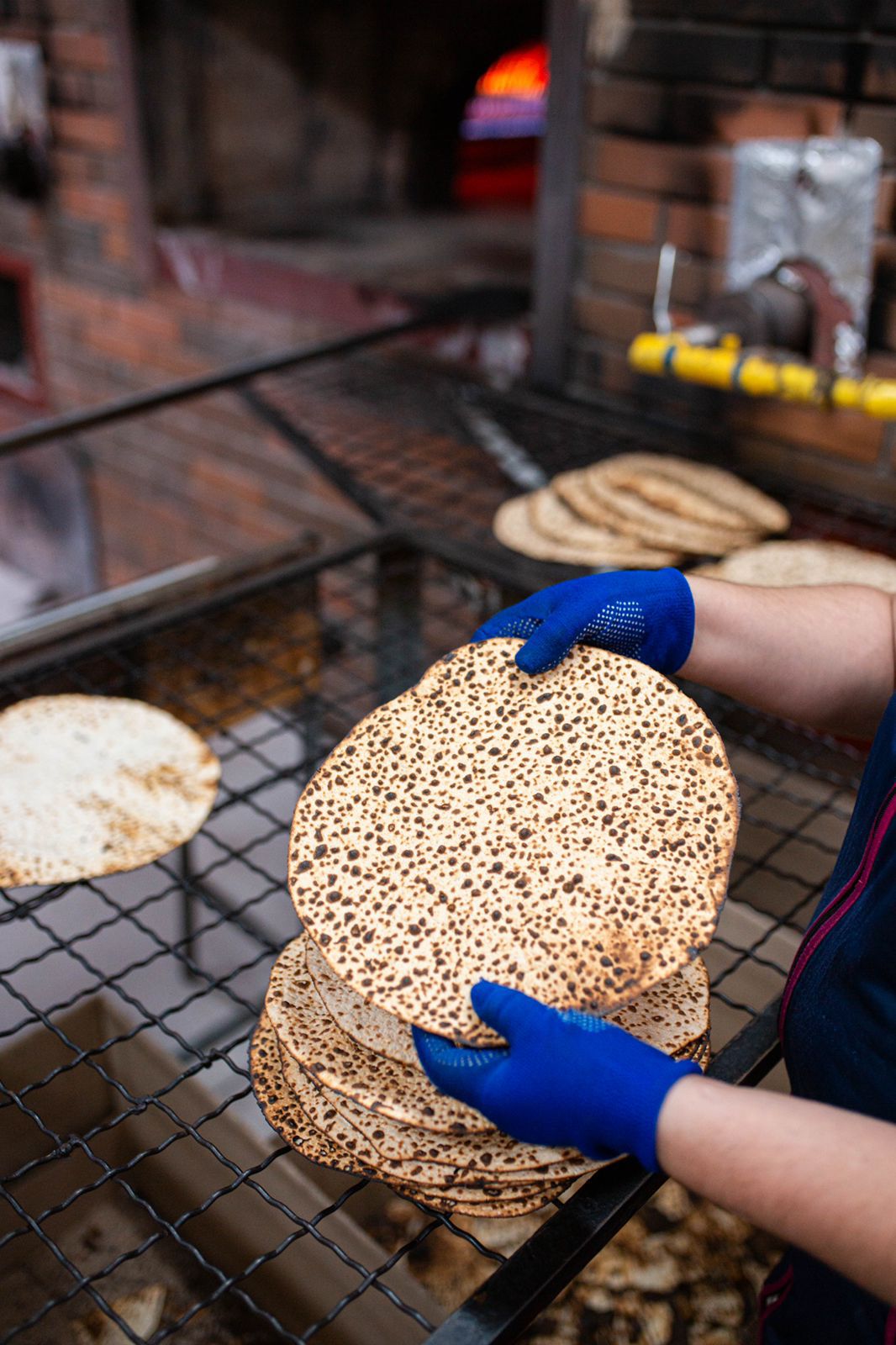 בצל ההכנות למתקפה רוסית מאסיבית: יהודי אוקראינה ינסו לחגוג כבני חורין