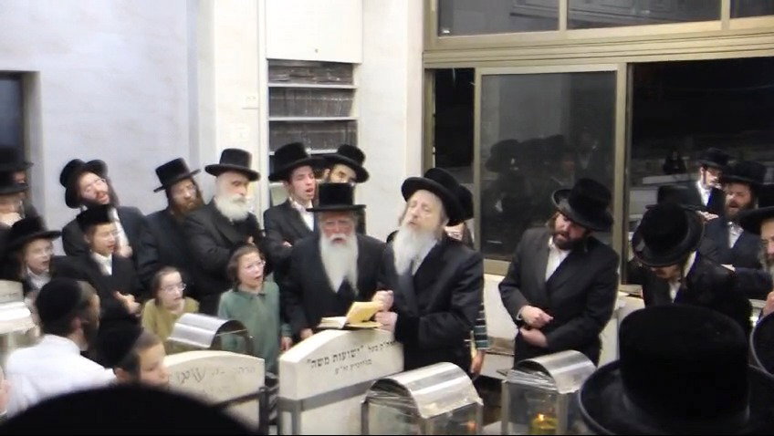 האדמו"ר מדזיקוב בשירה באוהל אדמור"י ויזניץ 