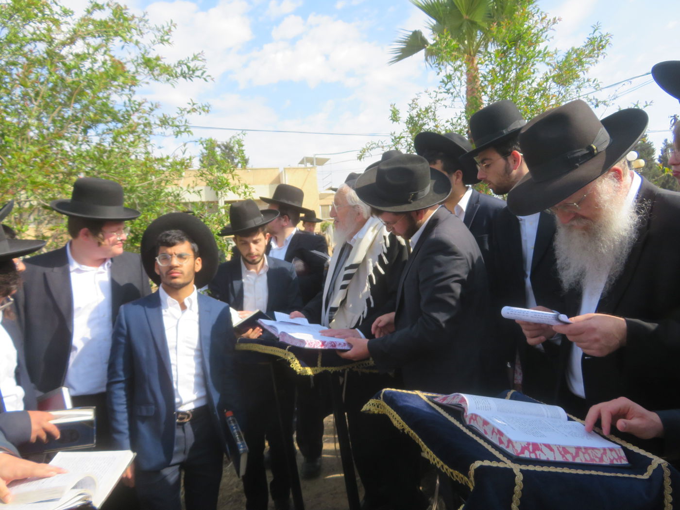 הגר"א לוי בברכת האילנות 