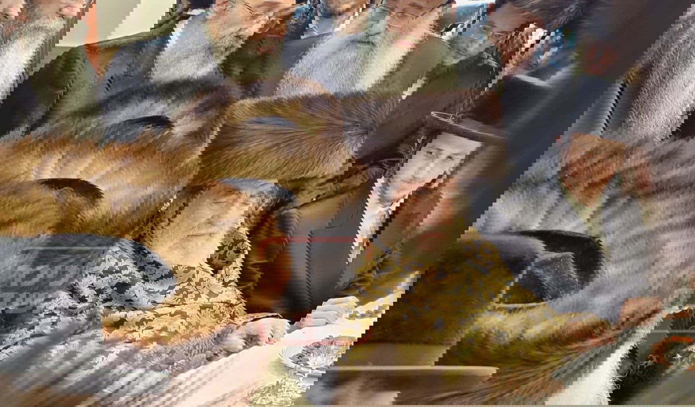 שמחת הווארט לרגל ארוסי נכדת האדמו"ר מויזניץ