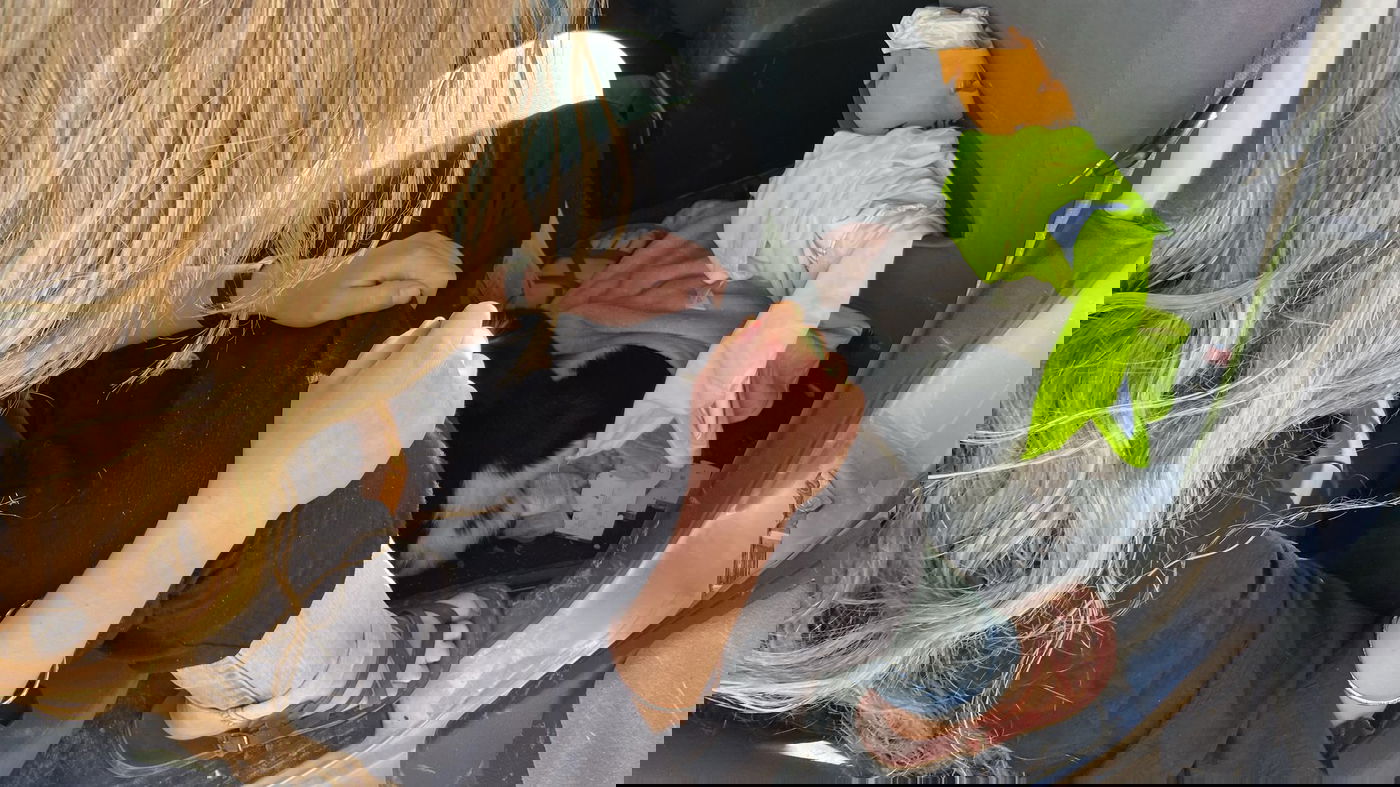 תפיסת גדיים