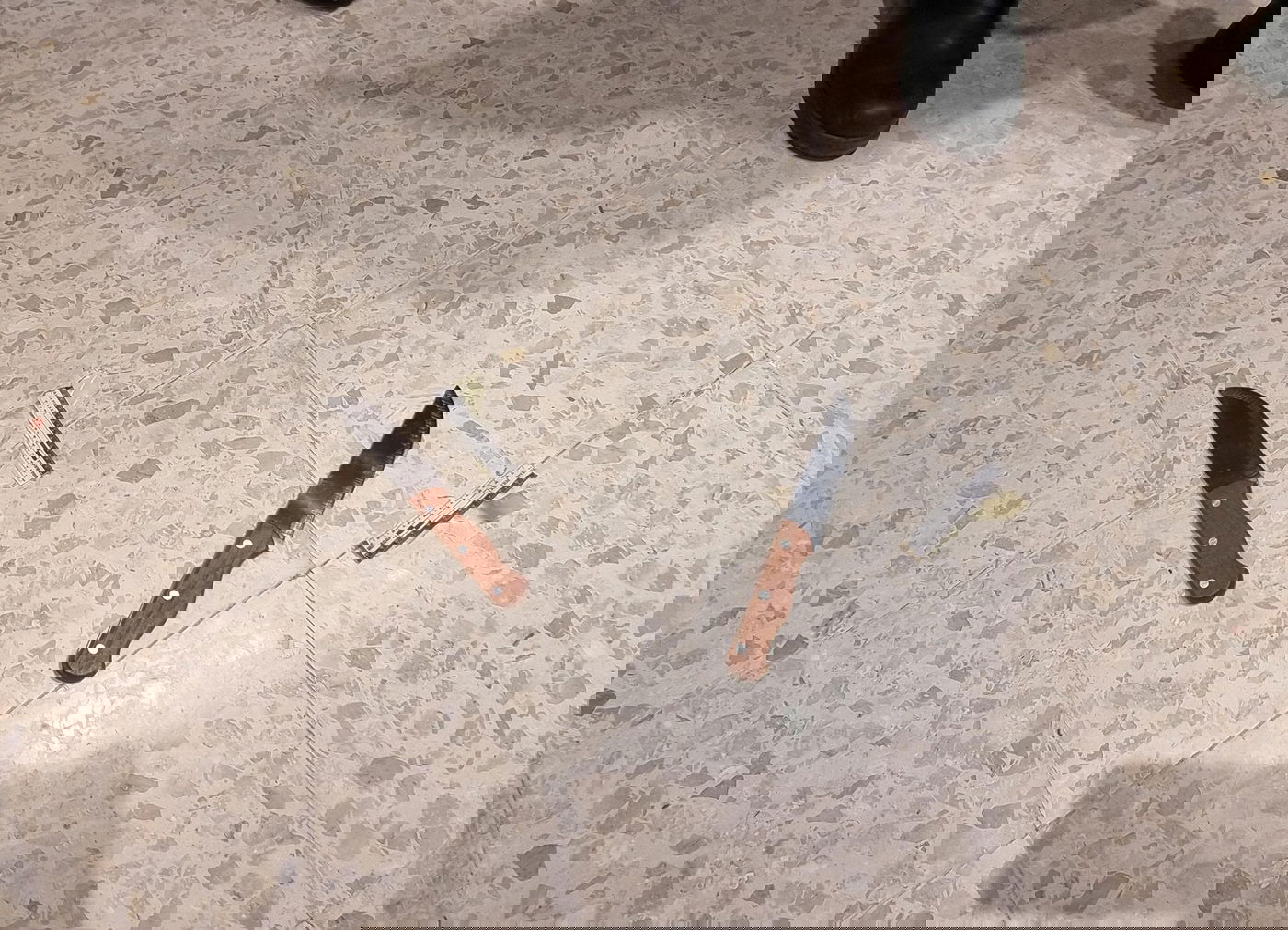 האישה זיהתה מהחלון, הבלש ראה דלת פתוחה | כך נתפסו המחבלים