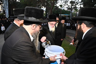 האדמו"ר מויז'ניץ בשאיבת מים שלנו