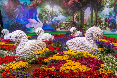 תערוכת הפרחים