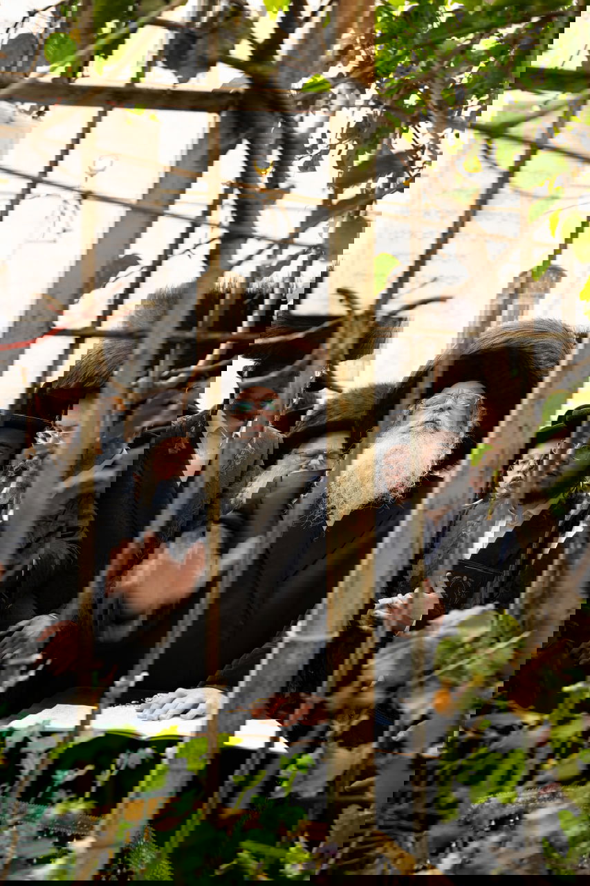 האדמו"ר מנדבורנה ירושלים בברכת האילנות