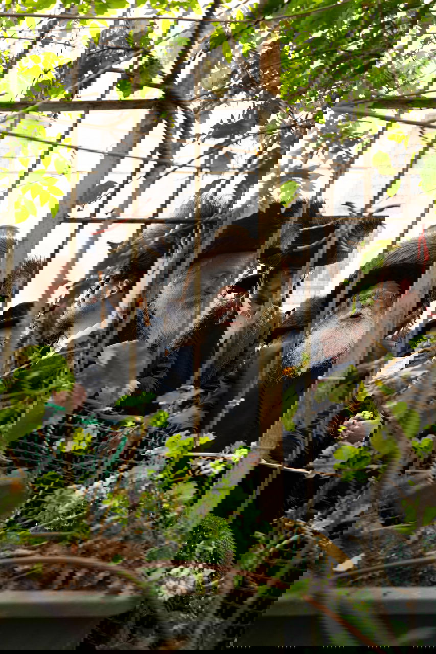 האדמו"ר מנדבורנה ירושלים בברכת האילנות