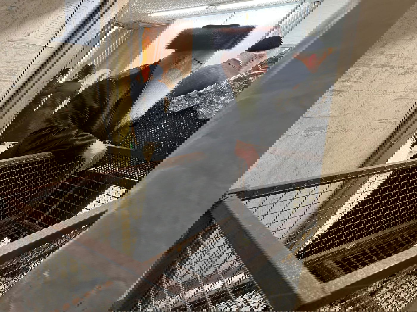 האדמו"ר ממחנובקה בעלזא בערב פסח