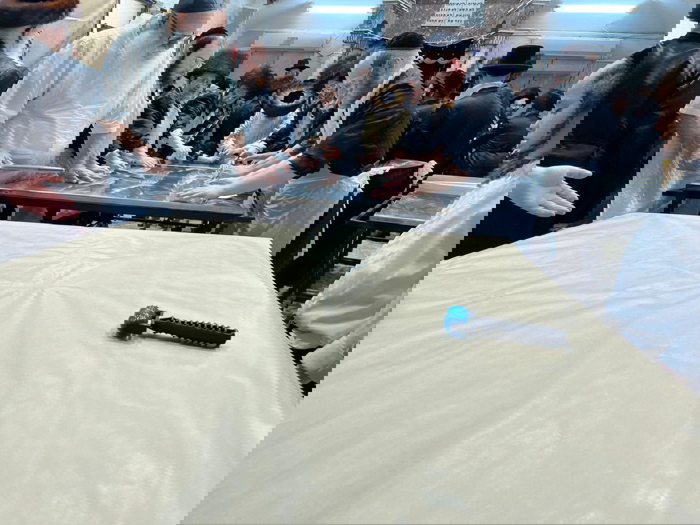 האדמו"ר ממחנובקה בעלזא בערב פסח