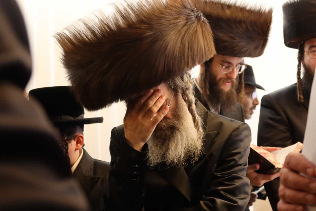 הגה"צ רבי אלימלך בידרמן בברכת האילנות