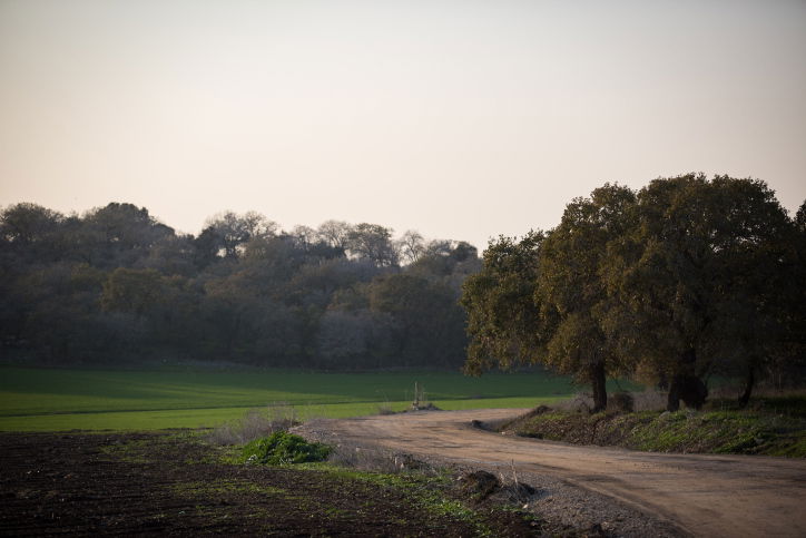 בית לחם הגלילית