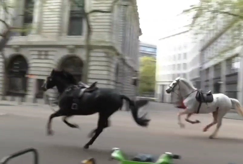 סוסים דוהרים בלונדון 