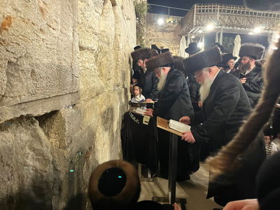 האדמו"ר ממחנובקה בעלזא בכותל המערבי