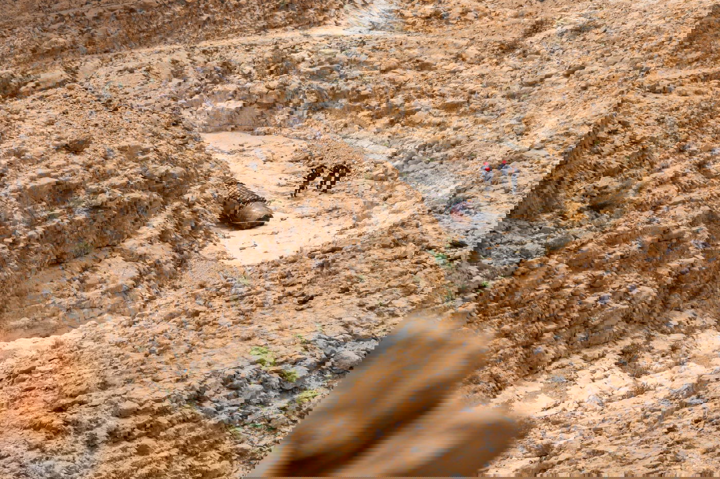 פינוי הטיל האיראני