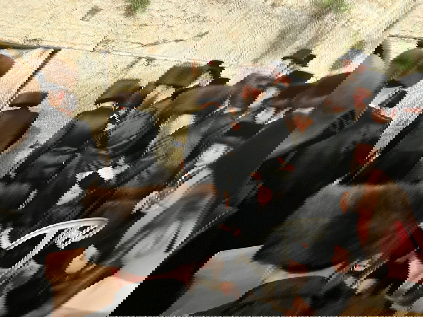 האדמו"ר ממחנובקה בעלזא בכותל המערבי