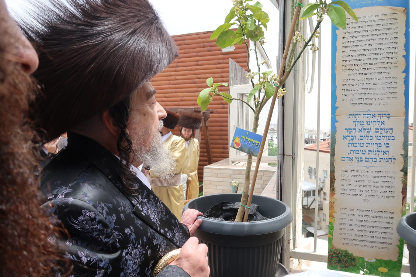 הגרי"מ שעכטער והאדמו"ר מפינסק קארלין בחוה"מ פסח